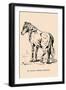 Optical Illusion Puzzle: St. Julian and Wild Bill Hickcock-null-Framed Art Print