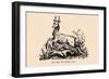 Optical Illusion Puzzle: Stag and Dog-null-Framed Art Print