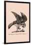 Optical Illusion Puzzle: The Hawk and Rabbit-null-Framed Art Print