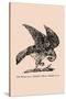 Optical Illusion Puzzle: The Hawk and Rabbit-null-Stretched Canvas