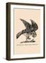 Optical Illusion Puzzle: The Hawk and Rabbit-null-Framed Art Print