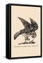 Optical Illusion Puzzle: The Hawk and Rabbit-null-Framed Stretched Canvas