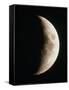 Optical Image of a Waxing Crescent Moon-John Sanford-Framed Stretched Canvas