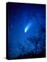 Optical Image of Comet Hale-Bopp, 6 April 1997-Detlev Van Ravenswaay-Stretched Canvas