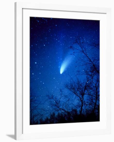 Optical Image of Comet Hale-Bopp, 6 April 1997-Detlev Van Ravenswaay-Framed Photographic Print