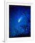 Optical Image of Comet Hale-Bopp, 6 April 1997-Detlev Van Ravenswaay-Framed Photographic Print