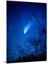 Optical Image of Comet Hale-Bopp, 6 April 1997-Detlev Van Ravenswaay-Mounted Photographic Print