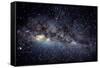 Optical Image of the Milky Way In the Night Sky-Dr. Fred Espenak-Framed Stretched Canvas
