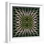 Optical Noise-Michael Banks-Framed Giclee Print