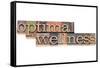 Optimal Wellness-PixelsAway-Framed Stretched Canvas