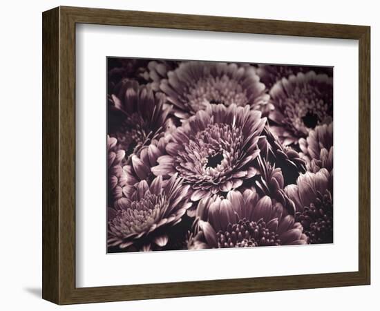 Opulent 4-Design Fabrikken-Framed Photographic Print