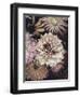 Opulent 5-Design Fabrikken-Framed Premium Photographic Print