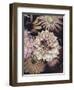 Opulent 5-Design Fabrikken-Framed Photographic Print