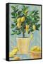 Opulent Citrus I-Grace Popp-Framed Stretched Canvas