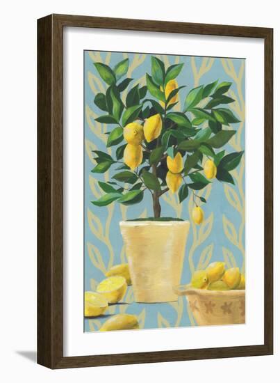 Opulent Citrus I-Grace Popp-Framed Art Print