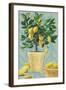 Opulent Citrus I-Grace Popp-Framed Art Print