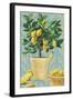 Opulent Citrus I-Grace Popp-Framed Art Print