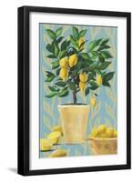 Opulent Citrus I-Grace Popp-Framed Art Print