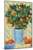 Opulent Citrus II-Grace Popp-Mounted Art Print