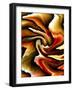 Opulent Color II-Ruth Palmer-Framed Art Print