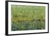 Opulent Field I-Tim O'toole-Framed Art Print