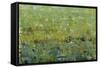 Opulent Field I-Tim O'toole-Framed Stretched Canvas