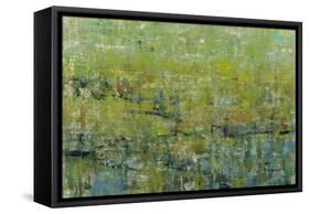 Opulent Field II-Tim O'toole-Framed Stretched Canvas