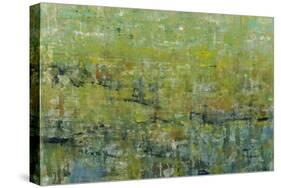 Opulent Field II-Tim O'toole-Stretched Canvas