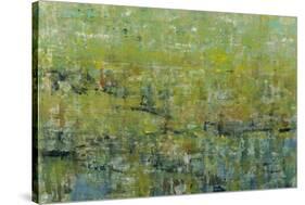 Opulent Field II-Tim O'toole-Stretched Canvas