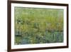 Opulent Field II-Tim O'toole-Framed Art Print