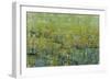 Opulent Field II-Tim O'toole-Framed Art Print