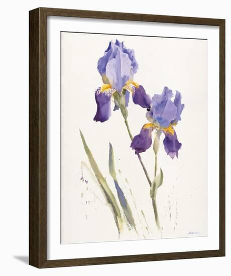 Opulent Irises-Hazel Soan-Framed Giclee Print