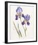 Opulent Irises-Hazel Soan-Framed Giclee Print