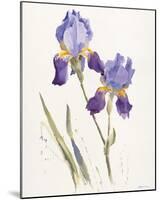 Opulent Irises-Hazel Soan-Mounted Giclee Print