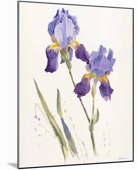 Opulent Irises-Hazel Soan-Mounted Giclee Print