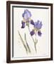 Opulent Irises-Hazel Soan-Framed Giclee Print