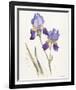 Opulent Irises-Hazel Soan-Framed Giclee Print