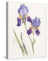 Opulent Irises-Hazel Soan-Stretched Canvas