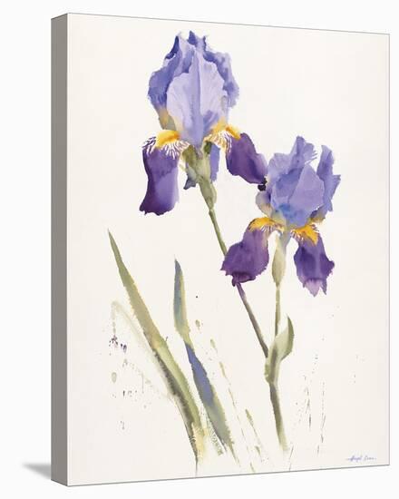 Opulent Irises-Hazel Soan-Stretched Canvas