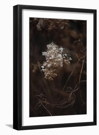 Opulent Nature - Thrive-Sarah Hart Morgan-Framed Giclee Print