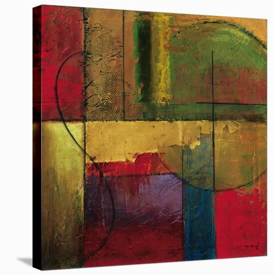 Opulent Relief I-Mike Klung-Stretched Canvas