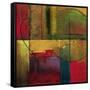 Opulent Relief I-Mike Klung-Framed Stretched Canvas