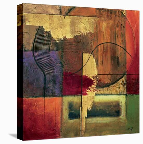 Opulent Relief II-Mike Klung-Stretched Canvas