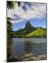 Opunohu Bay and Mount Mauaroa, Moorea, French Polynesia, South Pacific Ocean, Pacific-Jochen Schlenker-Mounted Photographic Print