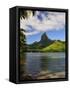 Opunohu Bay and Mount Mauaroa, Moorea, French Polynesia, South Pacific Ocean, Pacific-Jochen Schlenker-Framed Stretched Canvas