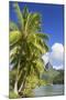 Opunohu Bay, Mo'Orea, Society Islands, French Polynesia-Ian Trower-Mounted Photographic Print