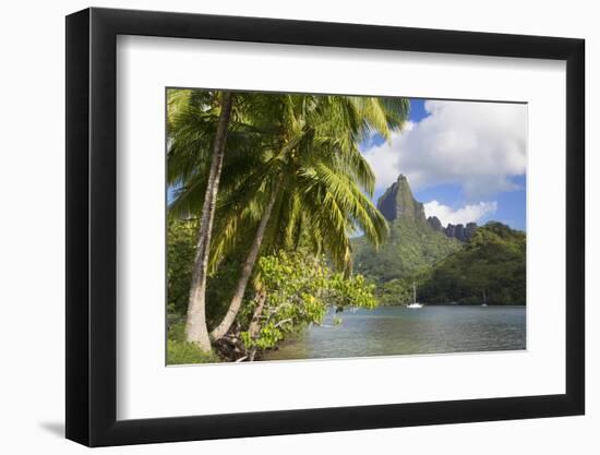 Opunohu Bay, Mo'Orea, Society Islands, French Polynesia-Ian Trower-Framed Photographic Print