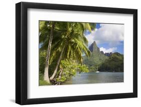 Opunohu Bay, Mo'Orea, Society Islands, French Polynesia-Ian Trower-Framed Photographic Print