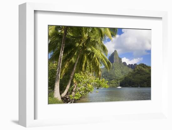Opunohu Bay, Mo'Orea, Society Islands, French Polynesia-Ian Trower-Framed Photographic Print