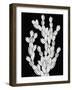 Opuntia-Emilie Ramon-Framed Giclee Print